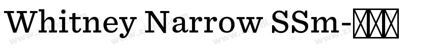 Whitney Narrow SSm字体转换